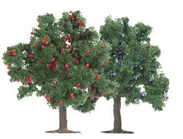 Busch 6649 TT Scale Deciduous Trees -- 1 Each Apple & Plum