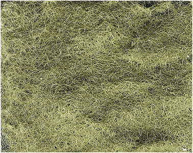 Woodland Scenics 634 All Scale Static Grass Flock(TM) - 57-11/16 Cubic Inches 945 Cubic cm -- Light Green