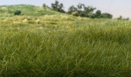 Woodland Scenics 613 All Scale Static Grass - Field System -- Dark Green 1/16" 2mm Fibers