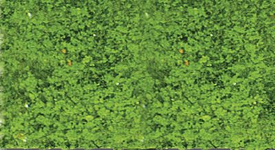 Heki Mini Forest 1554 All Scale Foliage Pad - 11 x 5-1/2" 27.9 x 14cm -- Spring Green