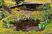 Noch 14052 HO Scale Water & Riverside Plants - Laser-Cut Minis(R) -- Makes 17 Plants