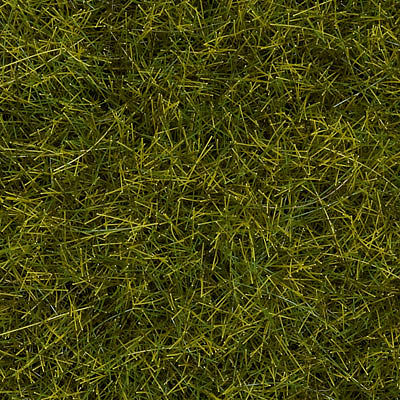Noch 7090 All Scale Wild Grass - 1/4" .6cm Fibers in 3-1/2oz 100g Tub - Covers 1.2 Sq Yd 1 Sq m -- Meadow