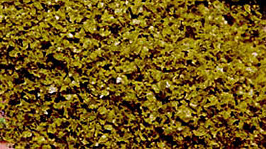 Scenic Express 6142 All Scale SuperLeaf Scale Model Leaf Flake - 16oz 454g Shaker -- Moss Green